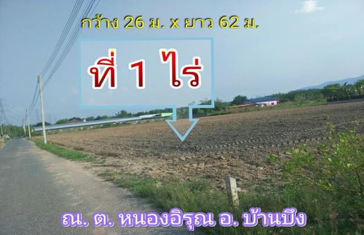 ขายบ านและท ด นบ านบ ง บ านและท ด นชลบ ร ขายท ด นโฉนด 1 ไร เหมาะต อการปล กบ าน หร อทำห องเช า ใกล สำน กงานทางหลวงชนบทชลบ ร หนองชาก อ บ านบ ง จ ชลบ ร ลงโฆษณาขายท ด น
