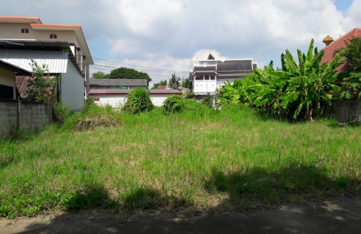 ขายบ านและท ด นเม องเช ยงใหม บ านและท ด นเช ยงใหม ขายท ด นเปล าต ดถนนทำเลด โซนป าแดด ต ดถนน2 ด านหน าและหล ง เขตอำเภอเม องเช ยง ลงโฆษณาขายท ด น