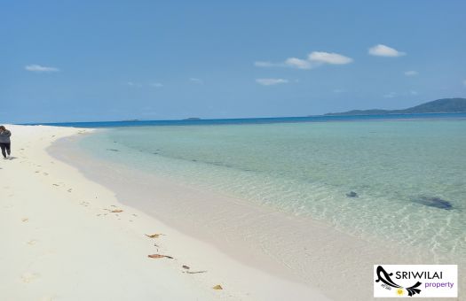 ขายบ านและท ด นเกาะสม ย บ านและท ด นส ราษฎร ธาน ขายโรงแรม4ดาวบนเกาะสม ย ใจกลางหาดเฉวงหาดท สวยท สม ยเกาะสม ย ลงโฆษณาขายท ด น