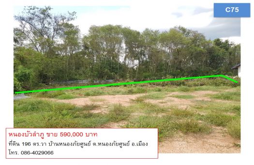 ขายบ านและท ด นเม องหนองบ วลำภ บ านและท ด นหนองบ วลำภ ขาย ท ด น พร อมปล กบ าน ในเขตช มชน c76 196 ตร วา ต หนองภ ยศ นย เม อง หนองบ วลำภ ลงโฆษณาขายท ด น
