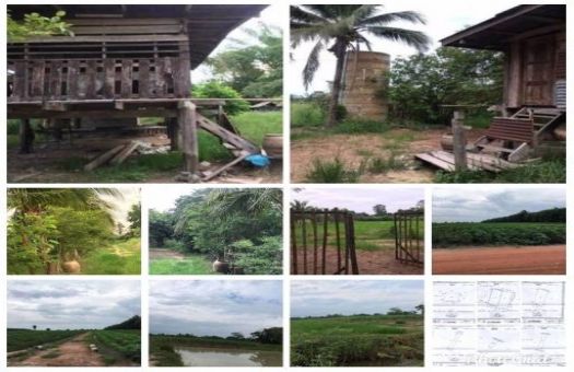 ขายบ านและท ด นเม องกำแพงเพชร บ านและท ด นกำแพงเพชร ขายท ด นเหมาะแก การลงท นและเก งกำไร ราคาถ กม โฉนด อ เม อง จ กำแพงเพชร ลงโฆษณาขายท ด น