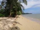 เกาะสมุยติดทะเลชายหาด 1ไร่ 169 ตรว.