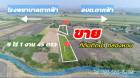 ขายที่ดินติดน้ำคลองหอม 9 ไร่ 1 งาน 45 ตรว