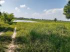 ขาย  ที่ดิน ราคาถูก ที่นา อ เพ็ญ อุดร 19ไร่ 2งาน 19.5ตรว  มีแหล่งน้ำในที่ดินมีถนนผ่าน