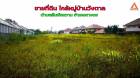 ขายที่ดิน ใกล้หมู่บ้านวังตาล ตำบลสันผักหวาน อำเภอหางดง จังหวัดเชียงใหม่