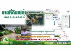 INSIDE HOME ขายที่ดินเปล่า เนื้อที่ 6-2-63.0 ไร่ เข้าถนน รพช.บ้านนาโพธิ์-ท่าโพธิ์ศรี