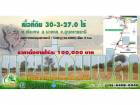 ขายที่ดินเปล่า เนื้อที่ 30-3-27.0 ไร่(ที่นา) พื้นที่เหมาะสำหรับทำเกษตร