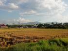 ที่น้ำวิวสวยๆ น้ำล้อมรอบ ถึง 2 ด้าน ที่ ตำบล สันโป่ง แม่ริม เพียง 2,571บาท/ตารางวา