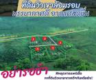 ภูรุ่งตะวัน ที่ดินวิวเขาทะเลหมอกแบ่งขาย