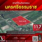 ขายที่ดิน เมืองนครศรีธรรมราช ตำบลท่าไร่ 16-3-14 ไร่ ที่ดินมีความอุดมสมบูรณ์มาก มีน้ำจากคลองไม้เสียบไหลผ่านด้านข้างของที่ดิน