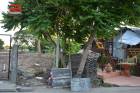 ที่ดินเปล่า ซอยสายไหม 26 เนื้อที่ 300 ตรว. ถนนสายไหม เขตสายไหม
