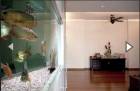 บ้านสุดหรูหรา เฟอร์บิวอิน ซอยลาดพร้าว 56