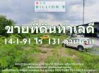 ที่ดินแปลงริมถนนศาลายา นครชัยศรี ทำเลเลิศ น่าอยู่อาศัย  ราคาขาย 131 ล้านบาท