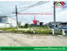 ขายที่ดินเปล่า 120 ตรว. ชุมชนหรรษา79 แยก 6 เพชรเกษม79 ที่ดินสวย ติดต่อ 081-4243141