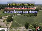 ขายที่โฉนดแปลงสวย2-3-65 ตร.ว. ต.บ้านกลับ  อ.หนองโดน จ.สระบุรี