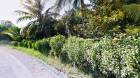 ขายที่ดินสวนผสม โป่งน้ำร้อน จันทบุรี 36-3-80 ไร่