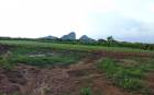 ขายที่ดินเปล่า อำเภอเขาฉกรรจ์ จังหวัดสระแก้ว 