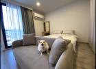 คอนโด เลี้ยงสัตว์   Maestro  14  สยาม - ราชเทวี Pet Friendly