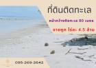 ขาย ที่ดิน เหมาะทำรีสอร์ท ที่ดินติดทะเล ตรัง 8 ไร่ หน้ากว้างติดทะเลยาว 80 เมตร