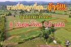 ขายที่ดินราคาถูกสุดในหมู่บ้าน บ้านแพะตีนดง ต.พุแค อ.เฉลิมพระเกียรติ สระบุรี ราคาไร่ละ 3.5 แสนเท่านั้น 8 ไร่เศษ