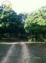 ที่ดิน 100ไร่ บ้านจำบอน ต.ศรีบัวบาน อ.เมือง ลำพูน