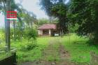 ที่ดินพร้อมบ้านเดี่ยว 1 ชั้น (ราคาดีงาม) โครงการ บ้านเมืองงิม เนื้อที่ 240 ตรว. อ.เมือง จ.เชียงราย