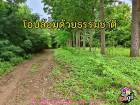 ขายที่ดินถมแล้ว พร้อมต้นสัก ใกล้เขาจีนแล 353  ตร.ว.