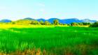 ขายที่โฉนดครุฑแดง วิวเขาสวยงาม ลดราคาถูกที่สุดในเมืองกาญจนบุรี