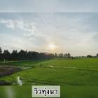 ที่ดิน 5ไร่ 2.25ลบ.ต.บ้านพริก อ.บ้านนา นครนายก