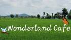 ขายกิจการ Wonderland cafe 