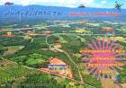ขาย ที่ดิน บ้านหินฮาว 15 ไร่ 2 งาน 45 ตร.วา อากาศดีทั้งปี น้ำไม่ท่วม วิวเขาค้อ ภูทับเบิก ภูลมโล ล้อมรอบ
