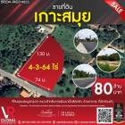 รหัสทรัพย์ 164 ขายที่ดินบนเกาะสมุย ขนาด 4-3-64 ไร่ มีความอุดมสมบูรณ์มาก เหมาะสำหรับการพัฒนาเป็นรีสอร์ต, ร้านอาหาร, ที่พักส่วนตัว