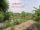 ขายที่ดิน 2-1-43.9 ไร่ ถนนบางแวก บางไผ่ บางแค 