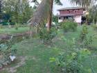ที่ดินสวนผลไม้พร้อมบ้าน จำนวน 2 ไร่ 1งาน 68 ตร.ว. 