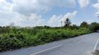 ขาย ที่ดิน ถ.บางม่วง-บางคูลัด บางใหญ่ นนทบุรี 3 ไร่ 388 ตร.วา หน้ากว้าง เดินทางสะดวก ใกล้แหล่งชุมชน และโครงการบ้านจัดสรร