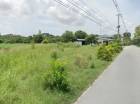 ขาย ที่ดิน หนองข้างคอก เลี่ยงเมืองชลบุรี  10 ไร่ ใกล้มหาธาตุเจดีย์มิ่งโมลีศรีบูรพา เหมาะสร้างโครงการบ้านจัดสรร