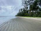 ขาย ที่ดิน หาดทรายขาว อ.คลองใหญ่ ตราด 93 ไร่ อยู่ริมหาดยาว 600 กว่าเมตร