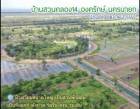 ขายที่ดิน บ้านสวนคลอง14 องครักษ์ นครนายก เนื้อที่ 350 ตร.วา พื้นที่เหมาะปลูกบ้านสวน ร่มรื่น