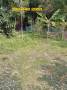 ขาย ที่ดิน ขายที่ดิน สายใหม่ แหล่งเจริญปลูกบ้านหรือทำเกษตรได้ที่ดิน สายใหมชอย6 191 ตร.วา