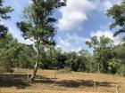 Land for sale 1 rai to build a small private house, quiet atmosphere, not far from the sea, Pathio, Chumphon.