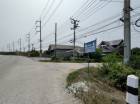 ขาย ที่ดิน ติดถนน 4 เลน ต.บางเลน อ.สองพี่น้อง บางเลน สุพรรณบุรี 8-1-03  ไร่ ราคาถูก