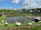 SALE CONDO VERY BIG PROJECT Hight View BTS On-Nut very greenery in down Town