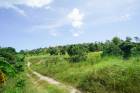 ขายที่ดินเกาะสมุย ใกล้หาดเชิงมนต์ เกาะฟาน ต.บ่อผุด