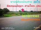 ขาย ที่ดิน แปลงสวย ติดถนนสายหลัก 20 ไร่ 23 ตร.วา สามโคก ปทุมธานี