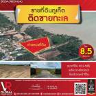 รหัสทรัพย์ 141 ขายที่ดินภูเก็ต ติดชายทะเล 29-2-50ไร่ หรือ 11,850 ตร.ว. พร้อมวางท่อประปาถึงบริเวณหน้าที่ดิน