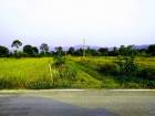 ขายที่ดิน ประเภทโฉนด นส.4จ. เนื้อ 37 ไร่ ตำบลเขาเพิ่ม บ้านนา นครนายก