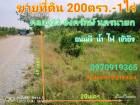 ขาย ที่ดิน สวนเกษตร  200 ตร.วา คลอง23 องครักษ์ นครนายก