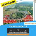 แปลงเด่นฟรีดอกบ้านสวนคลอง14 T.062-1574449