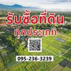 รับซื้อที่ดินเปล่า ที่ดินจะหลุดจำนอง ขายฝาก ที่ดินเพื่อการเกษตร โคก หนอง นา ที่ดินสวน จังหวัดพระนครศรีอยุธยา และใกล้เคียง