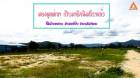 ขายที่ดินวิวเขาสวยๆ ใกล้ถนนสันกำแพงสายใหม่ ตำบลแช่ช้าง อำเภอสันกำแพง 